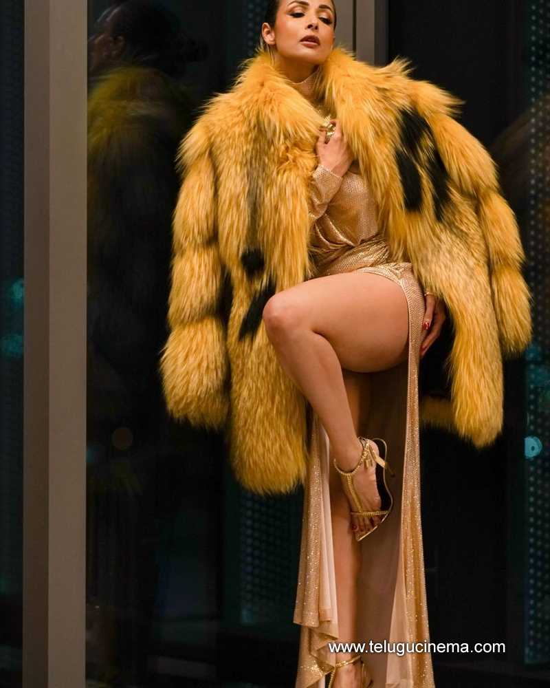 malaika stills 13022400000004