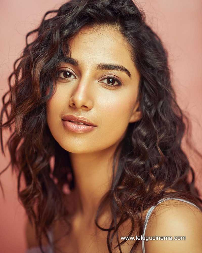 meenakshi stills 19022400000003