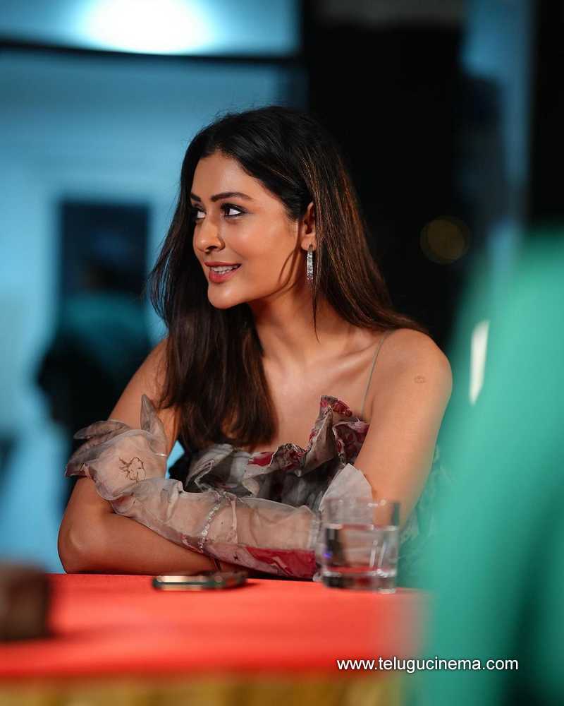 Payal Rajput gives a pose for camera | Telugu Cinema