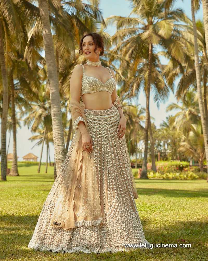 pragya stills 24022400000007