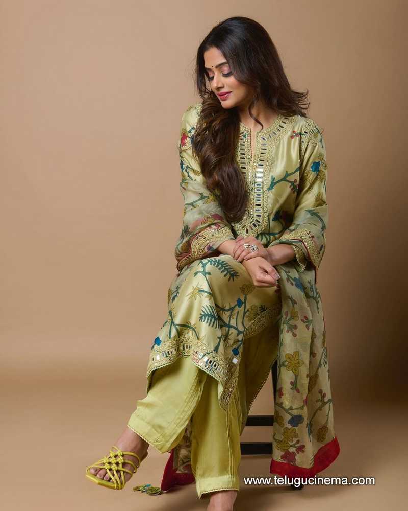 priyamani stills 14022400000004