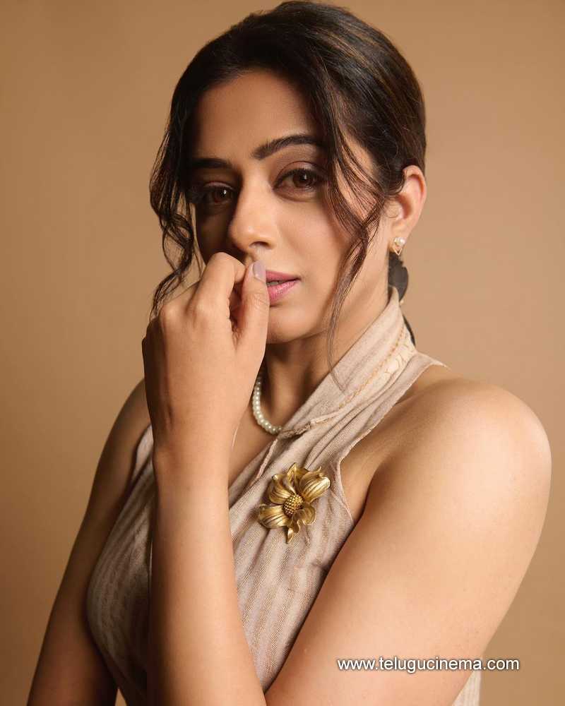 priyamani stills 22022400000007