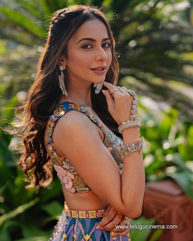 rakul stills 29022400000005