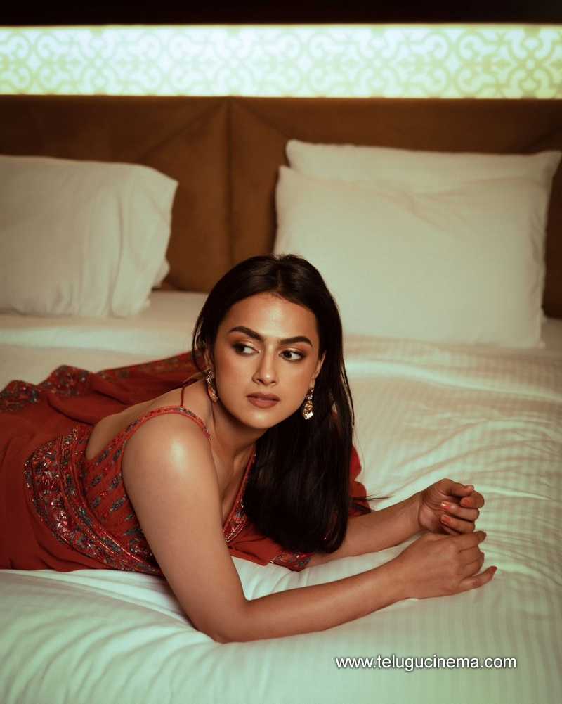 shraddha stills 15022400000003