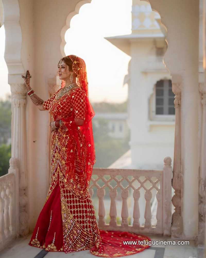 sonarika stills 22022400000003