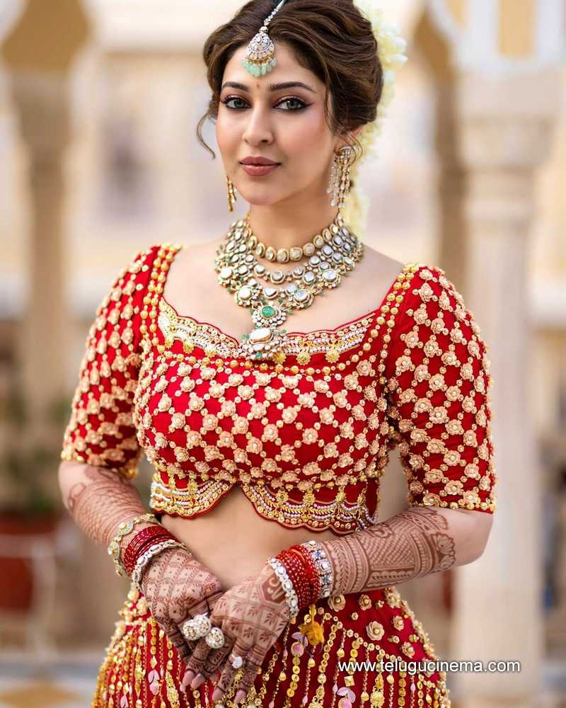 sonarika stills 22022400000004