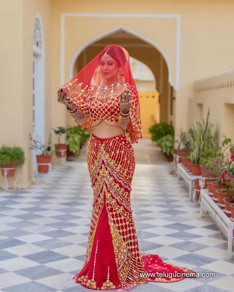 sonarika stills 22022400000006