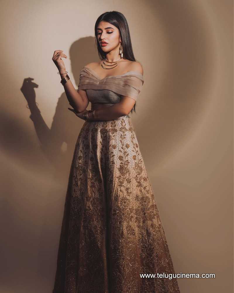 sreeleela stills 23022400000002
