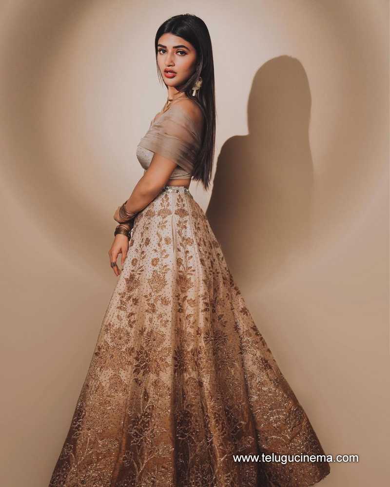 sreeleela stills 23022400000003