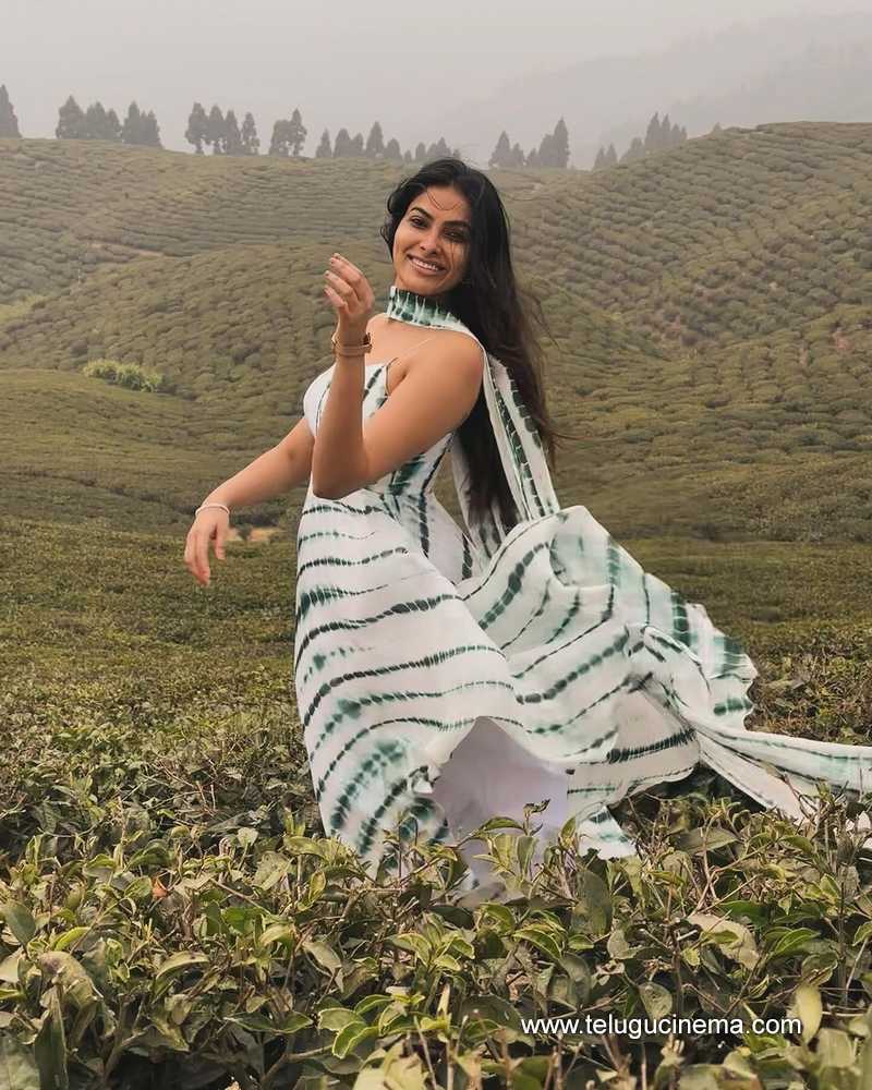 divi stills 07032400000002