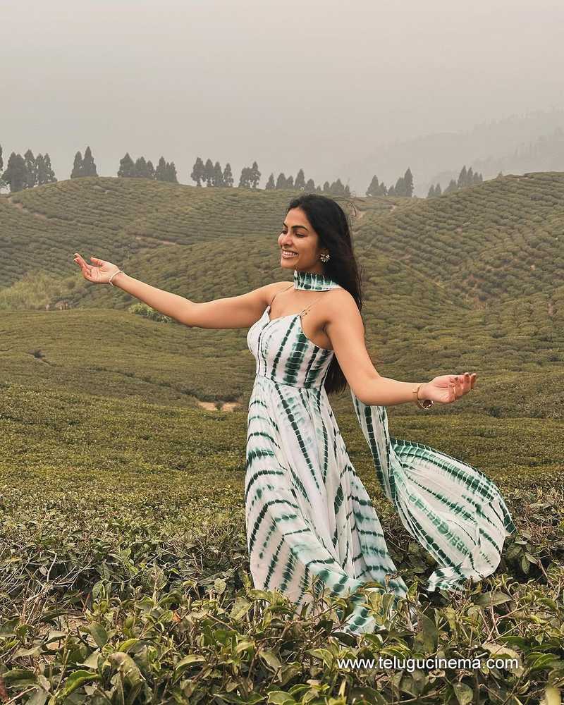 divi stills 07032400000003