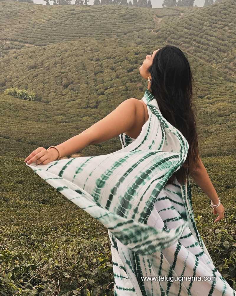 divi stills 07032400000005