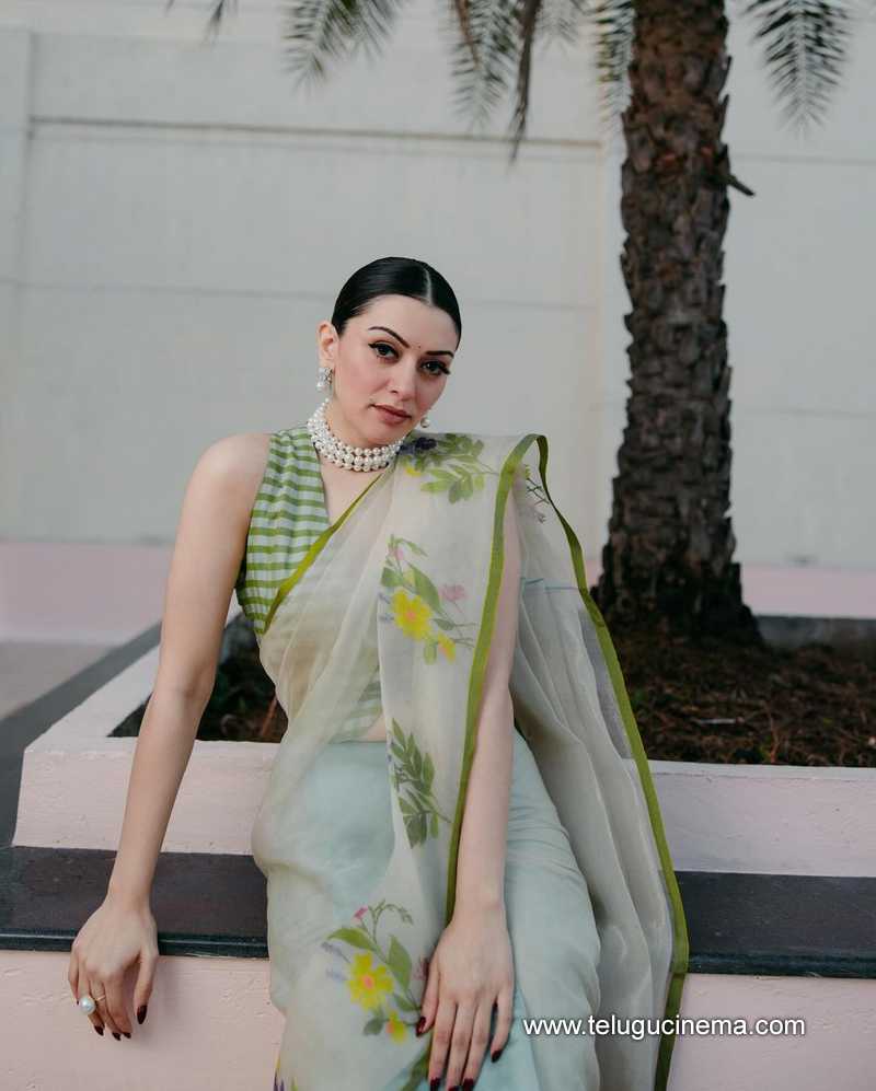 hansika stills 08032400000005