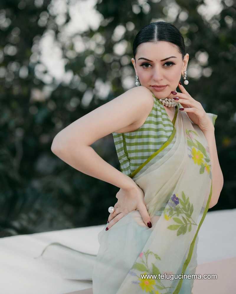 hansika stills 08032400000006