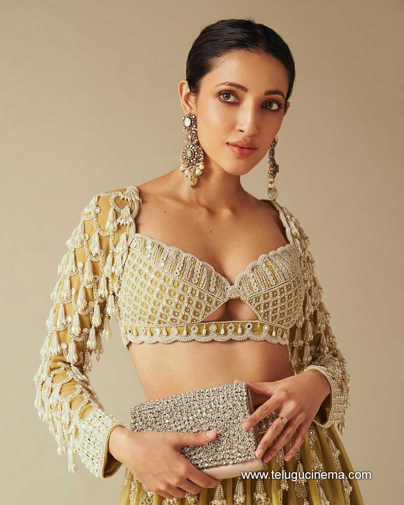 nehashetty stills 28032400000003