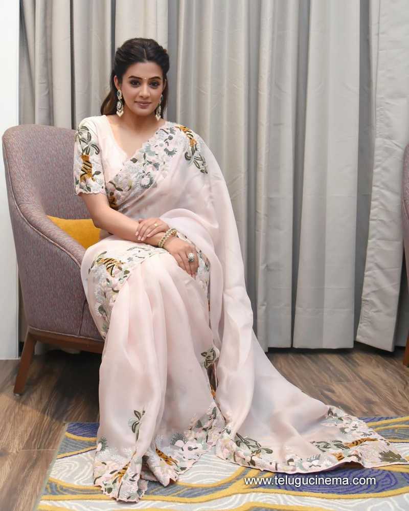 priyamani stills 02032400000005