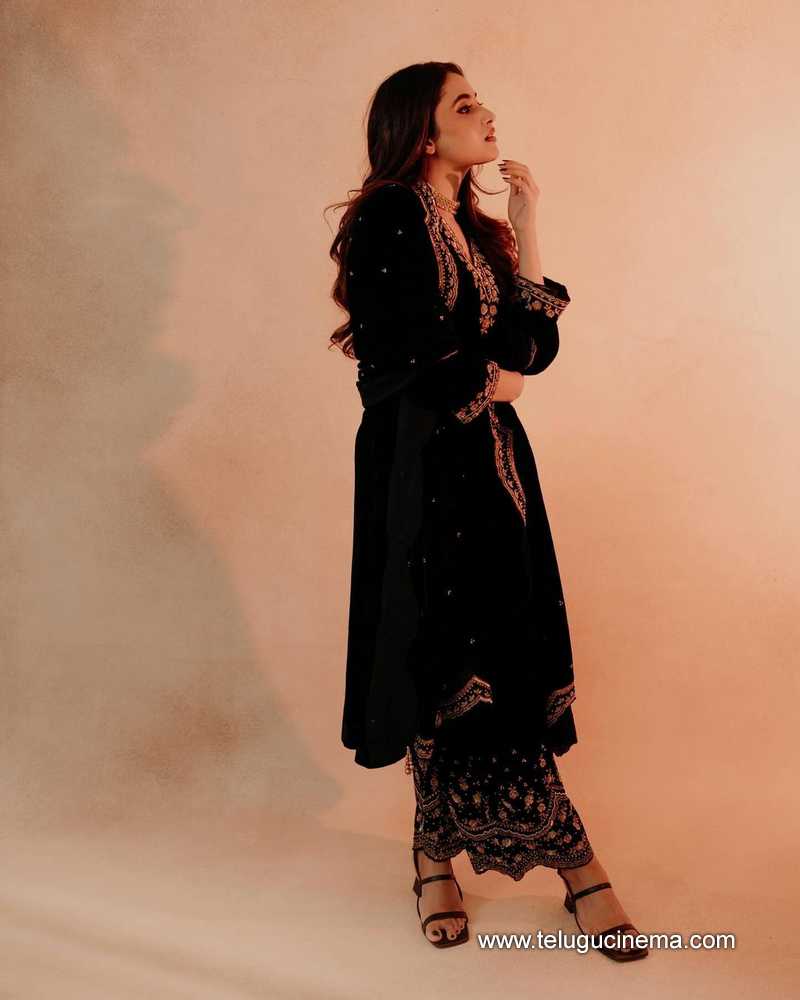 priyanka stills 22032400000003