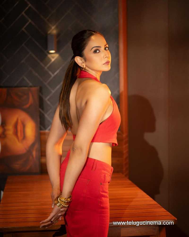 rakul stills 13032400000006