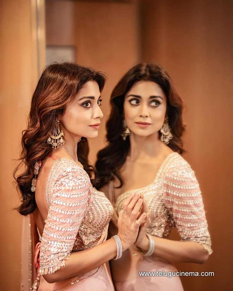 shriyasaran stills 14032400000002