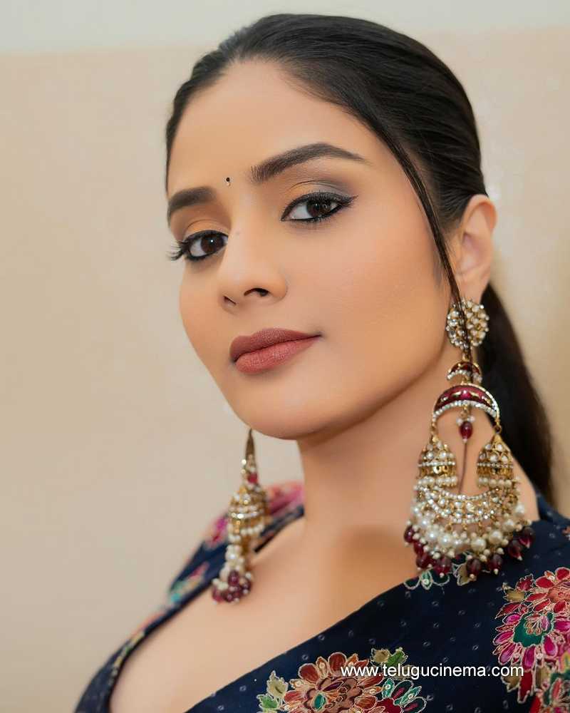 sreemukhi stills 29032400000003