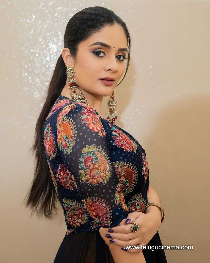 sreemukhi stills 29032400000005