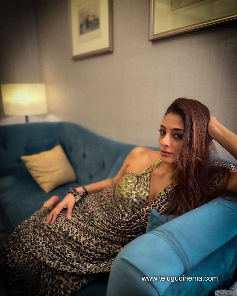 tabu stills 27032400000002