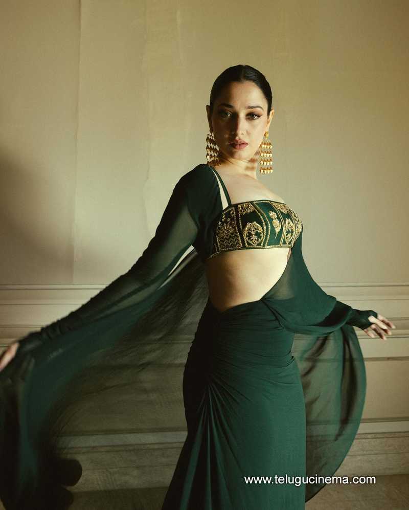 tamannah stills 30032400000004