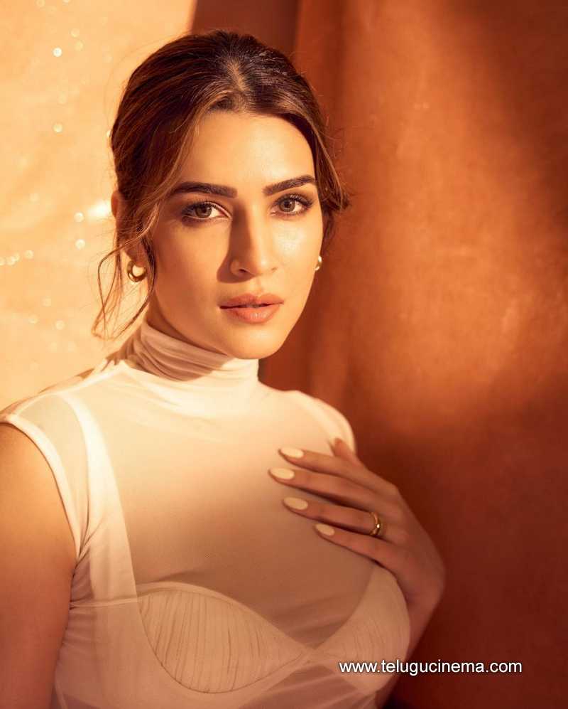 kritisanon stills 100424 03