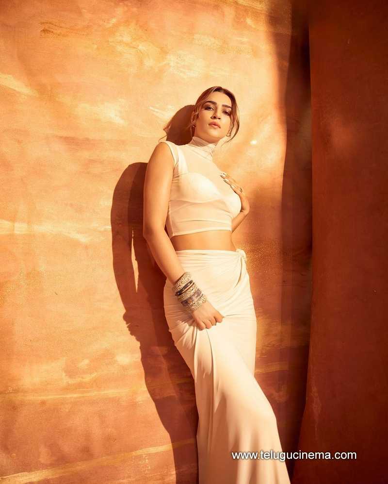 kritisanon stills 100424 04