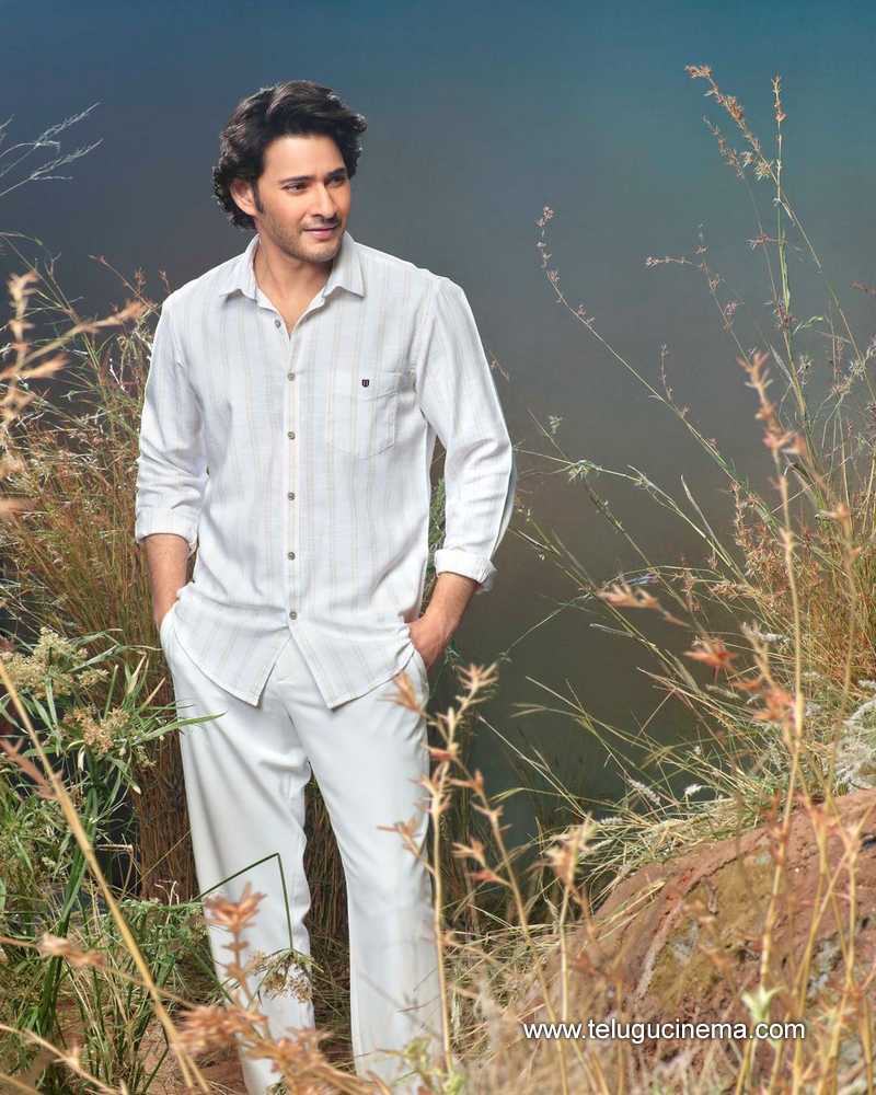 maheshbabu stills 020424 03