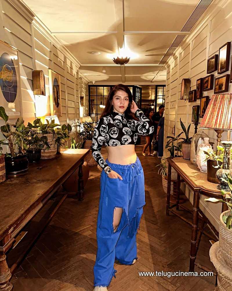 mehreen stills 150424 02
