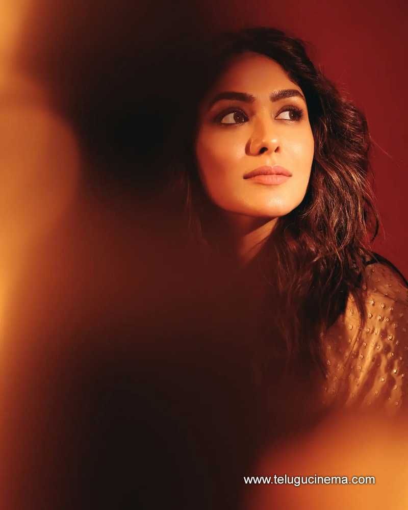 mrunalthaur stills 260424 02