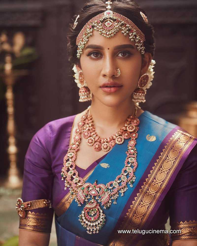 nabhanatesh stills 090424 05