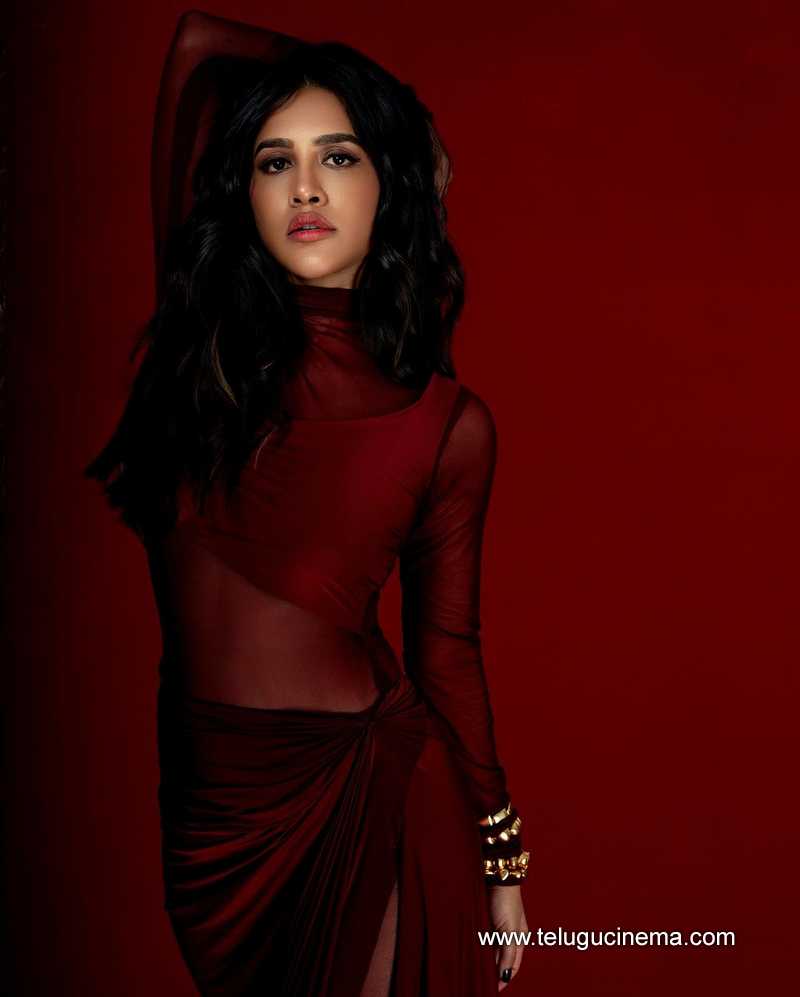 nabhanatesh stills 270424 02