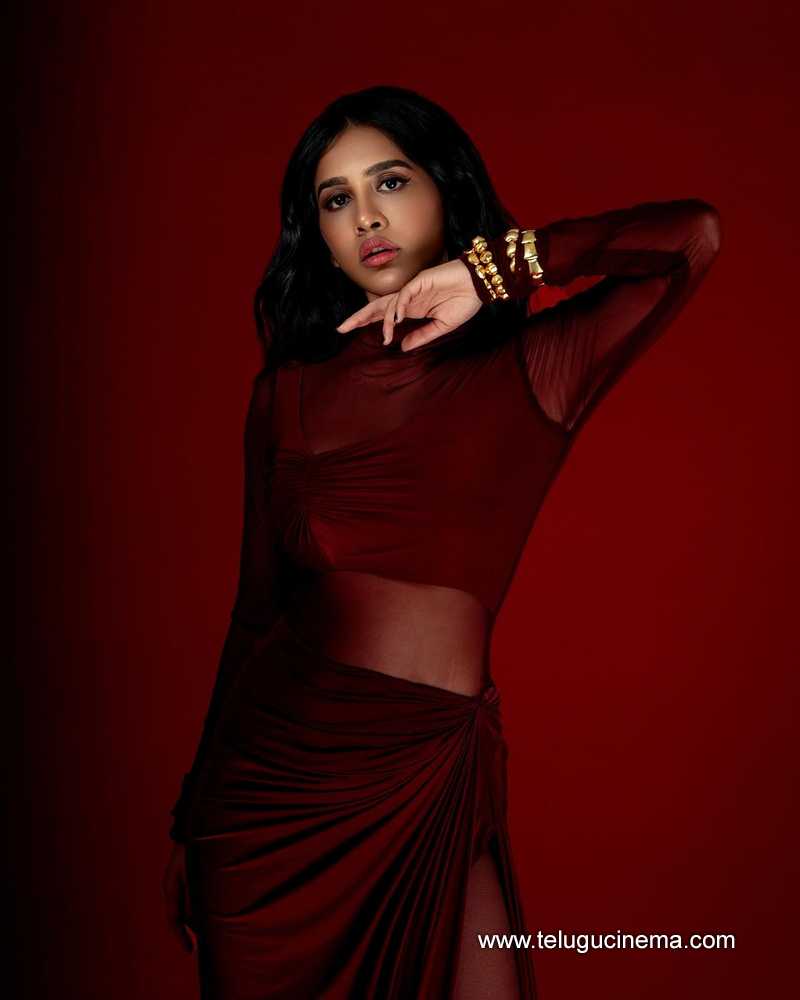 nabhanatesh stills 270424 06