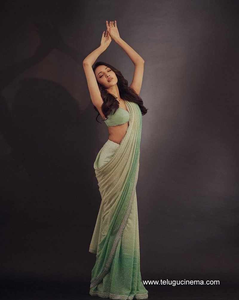 nehashetty stills 160424 04