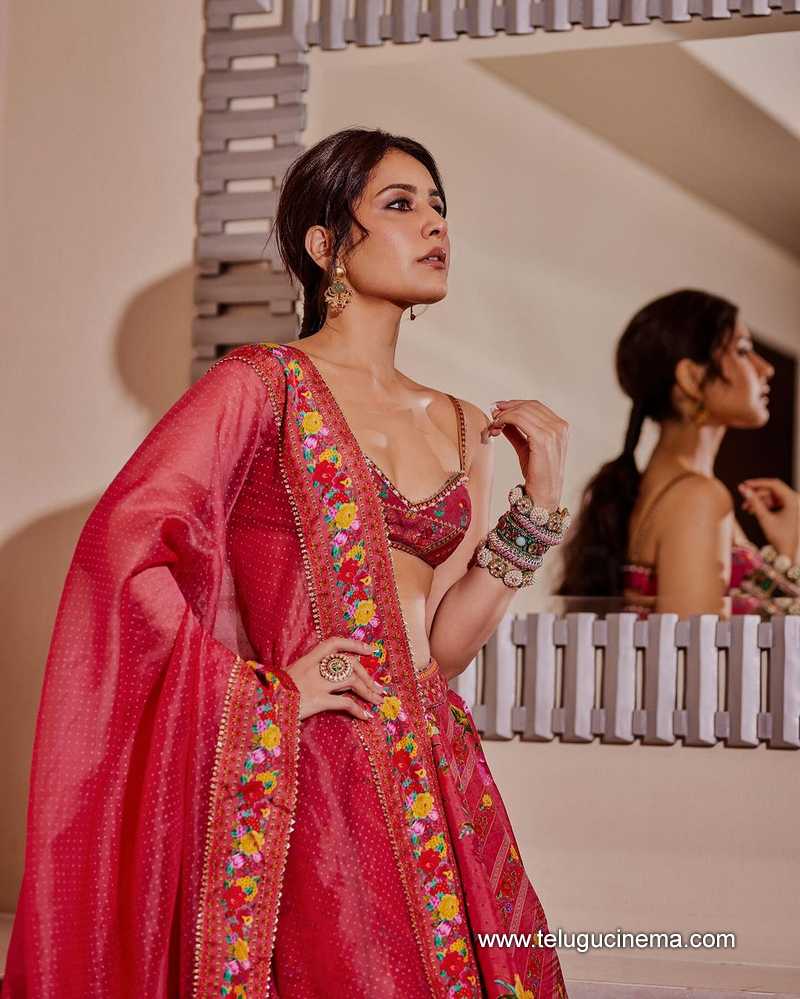 raashi stills 300424 09
