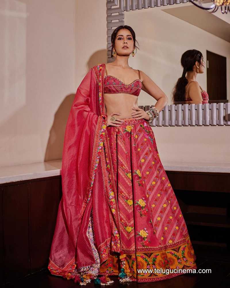 raashi stills 300424 10