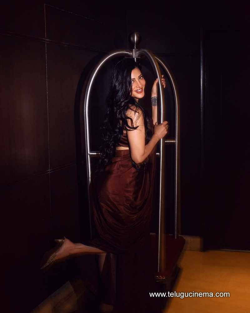 shrutihasan stills 080424 02 1