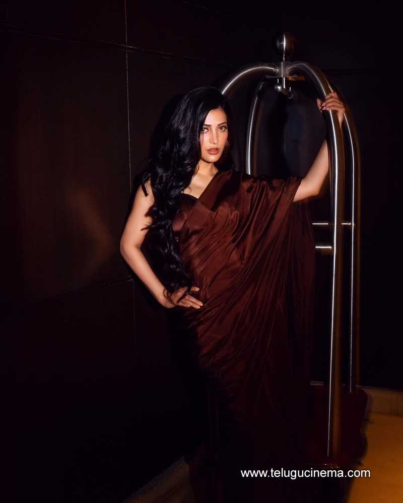 shrutihasan stills 080424 03