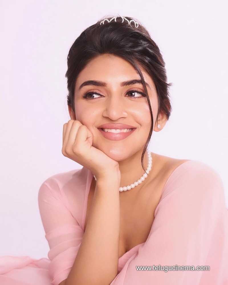 sreeleela stills 300424 03