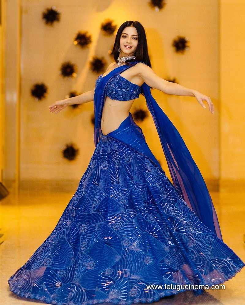 vedhika stills 19424 04 1