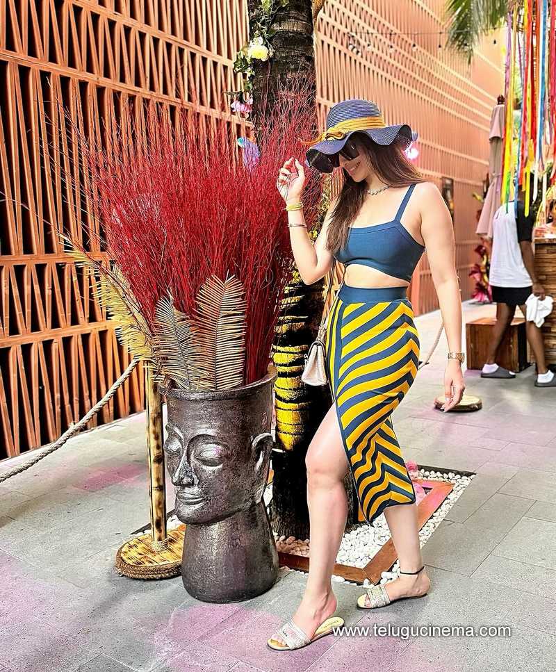 raailaxmi stills 140524 03