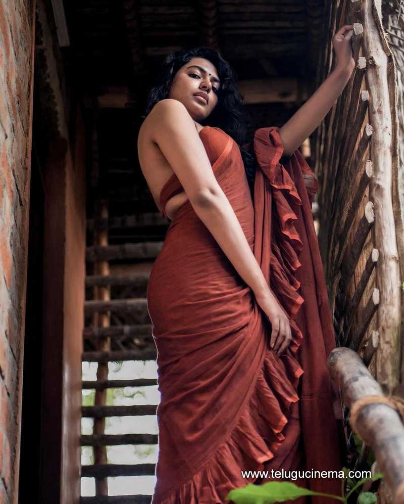 shhivani stills 290524 02