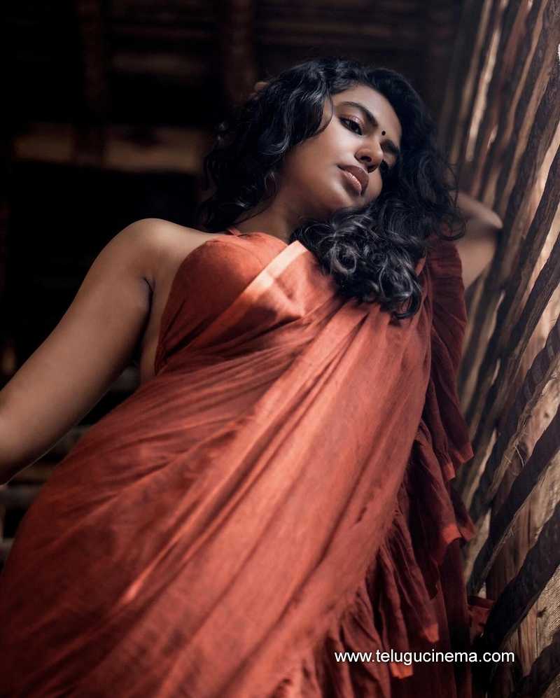 shhivani stills 290524 03