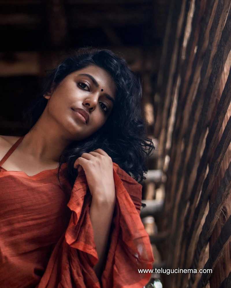 shhivani stills 290524 05