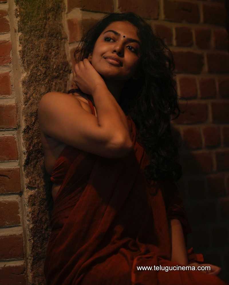 shhivani stills 290524 08