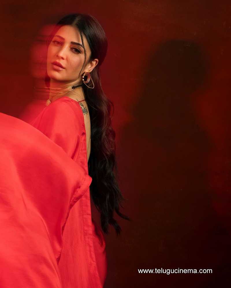 shrutihasan stills 020524 02