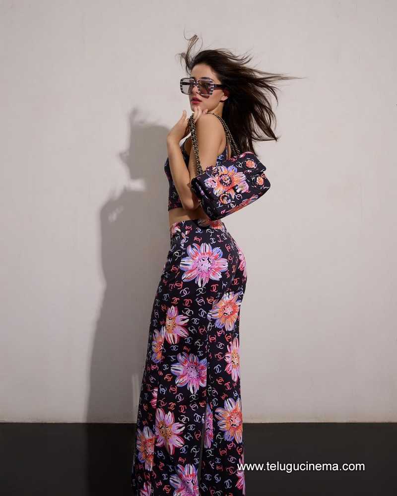 ananya stills 110624 03