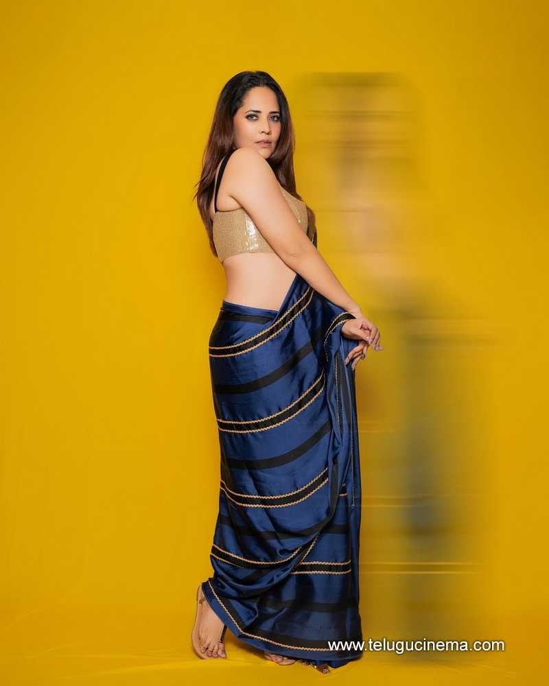 anasuya stills 250624 08
